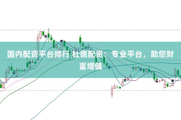 国内配资平台排行 杜德配资：专业平台，助您财富增值