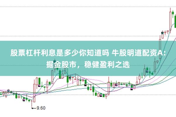 股票杠杆利息是多少你知道吗 牛股明道配资A：掘金股市，稳健盈利之选