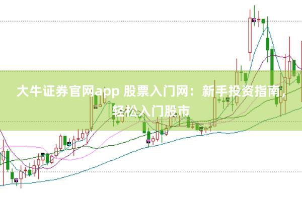 大牛证券官网app 股票入门网：新手投资指南，轻松入门股市