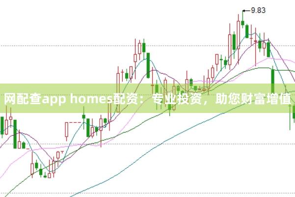 网配查app homes配资:专业投资,助您财富增值