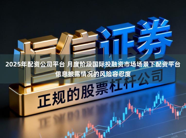 2025年配资公司平台 月度阶段国际投融资市场场景下配资平台信息披露情况的风险容忍度